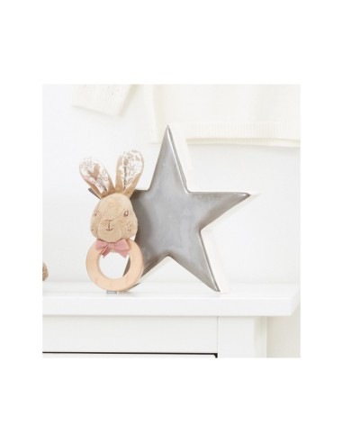 HOCHET PIERRE LAPIN FLOPSY COLLECTION SIGNATURE