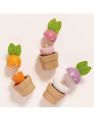 LÉGUMES EMPILABLES