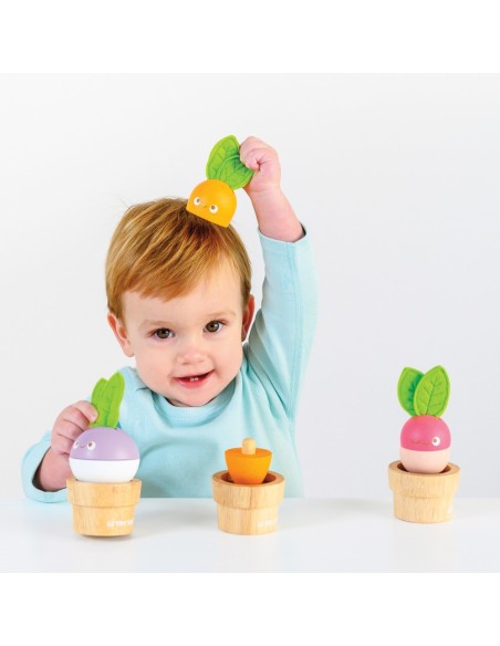 LÉGUMES EMPILABLES