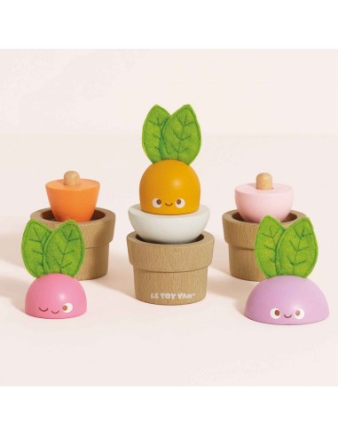 LÉGUMES EMPILABLES
