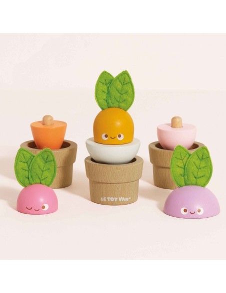LÉGUMES EMPILABLES