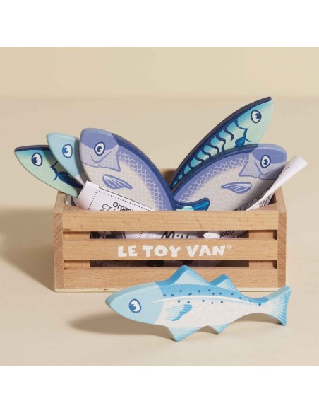 CAGETTE DE POISSONS DU MARCHÉ